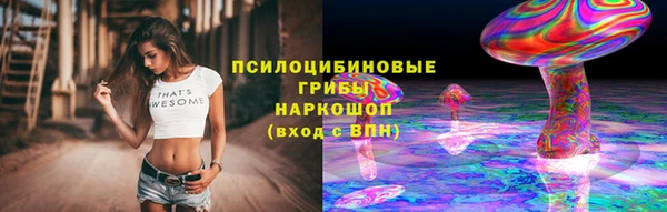 PSILOCYBIN Гусев