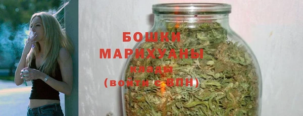 PSILOCYBIN Гусев