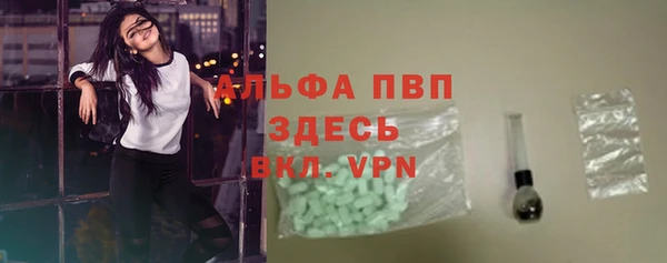PSILOCYBIN Гусев