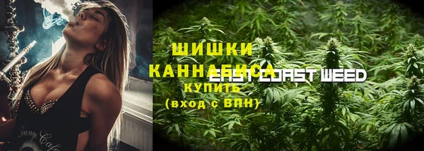PSILOCYBIN Гусев