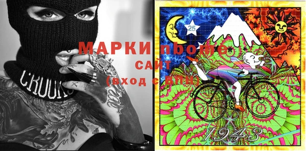 PSILOCYBIN Гусев
