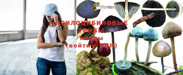 jwh Горнозаводск
