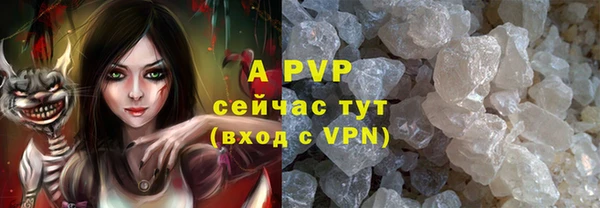 мяу мяу мука Горно-Алтайск
