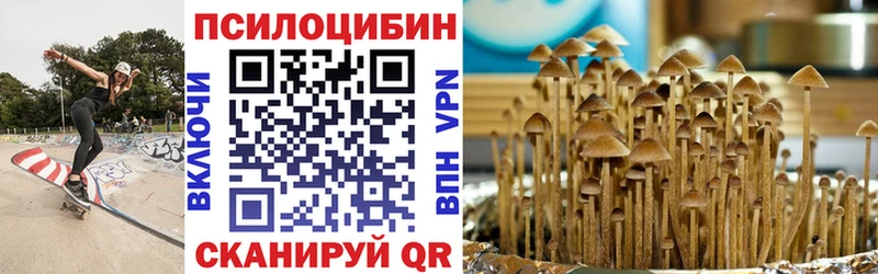 Купить закладки  Тимашёвск  Галлюциногенные грибы мухоморы 